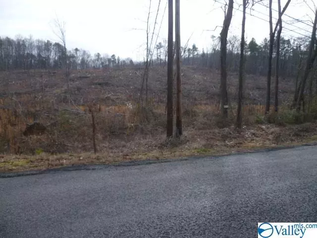 Fort Payne, AL 35968,Lot 9 County Road 88