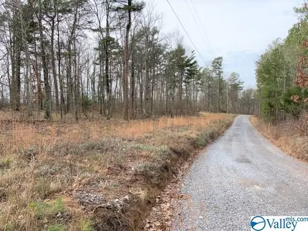 Gaylesville, AL 35973,Lot 2A County Road 865