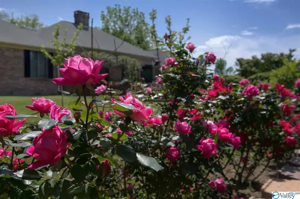 Grant, AL 35747,223 1st Avenue