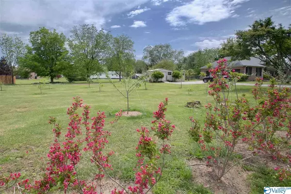 Grant, AL 35747,223 1st Avenue