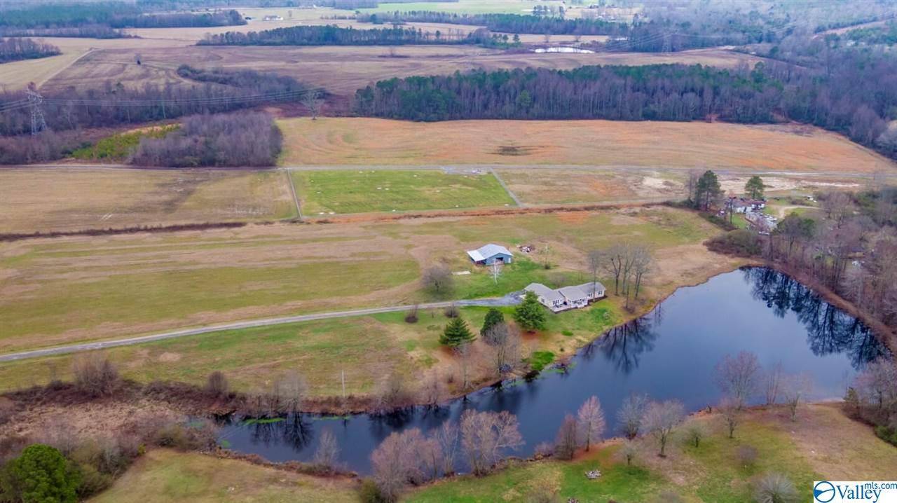 Section, AL 35771,3535 Hwy 35