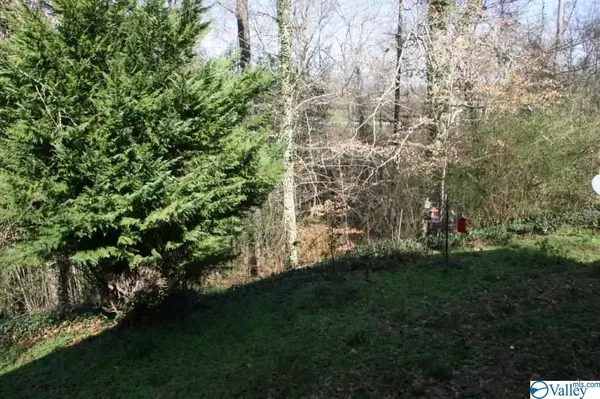 Albertville, AL 35951,78 Greer Lane