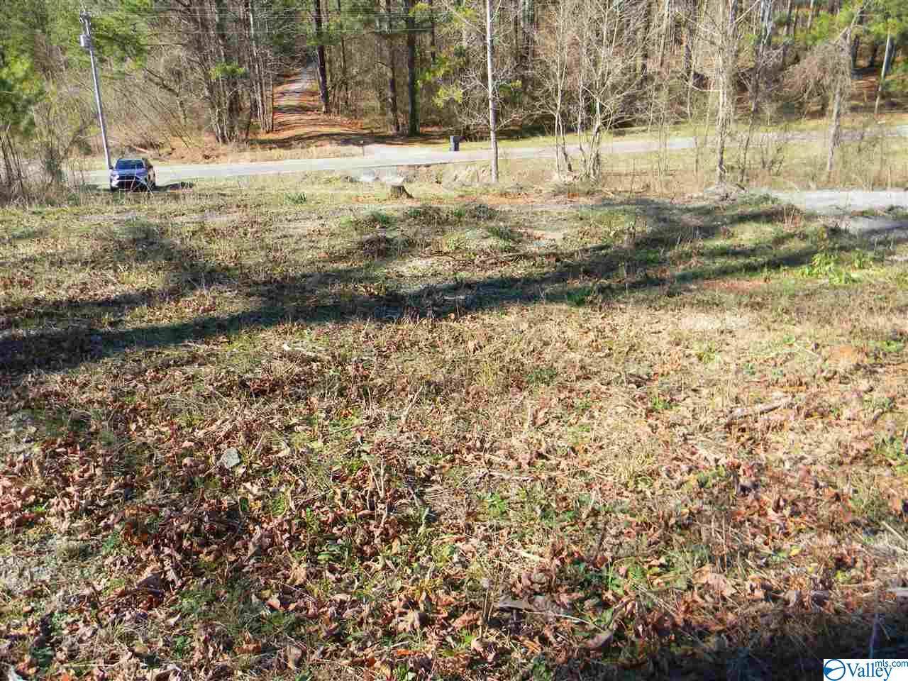 Somerville, AL 35670,1307 E Gravel Ridge Road