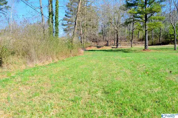 Leesburg, AL 35983,Lot 1 Paradise Ridge Road