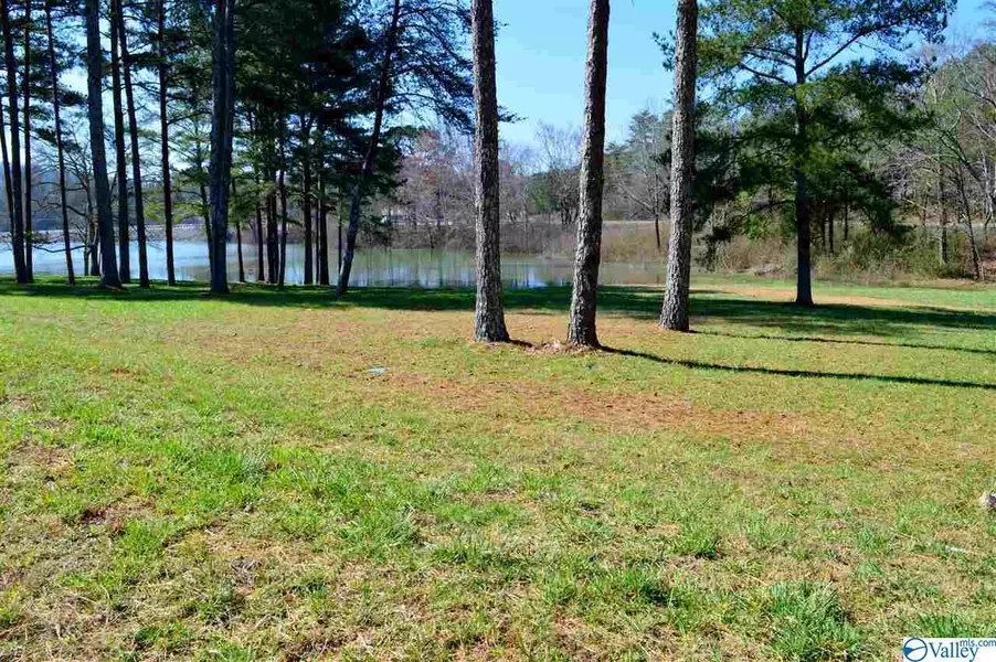 Lot 2 Paradise Ridge Road, Leesburg, AL 35983