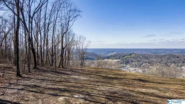 550 Wilks Drive E,  Fort Payne,  AL 35967