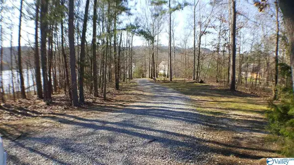 Cedar Bluff, AL 35959,2864 County Road 137