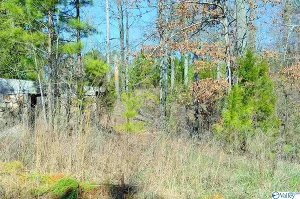 Leesburg, AL 35983,Lot 9 Paradise Ridge Road