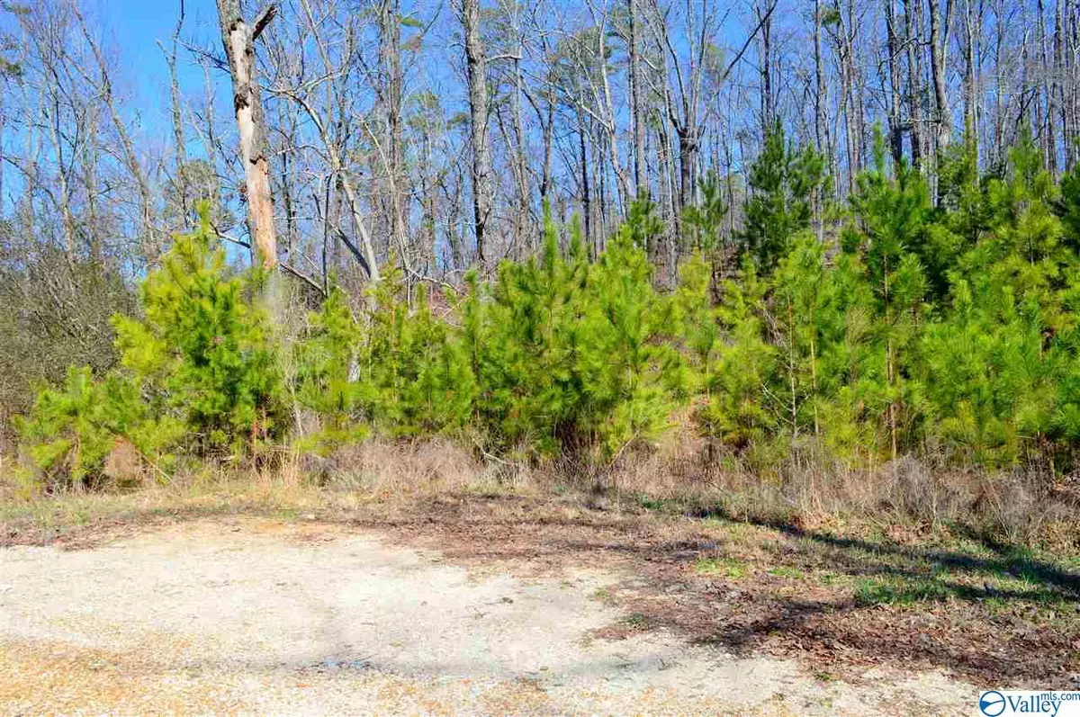 Leesburg, AL 35983,Lot 9 Paradise Ridge Road