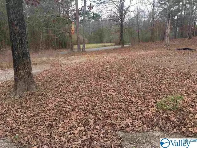 Wellington, AL 36279,2199 Ross Lake Road