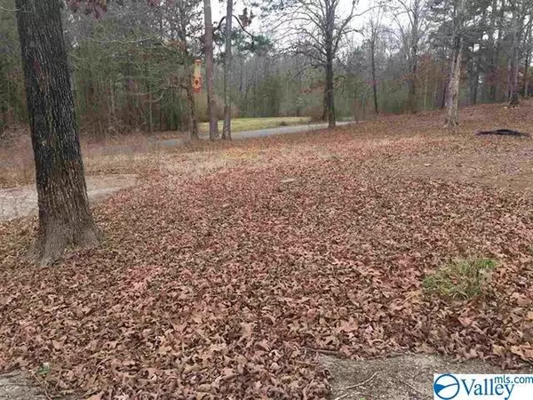 2199 Ross Lake Road, Wellington, AL 36279