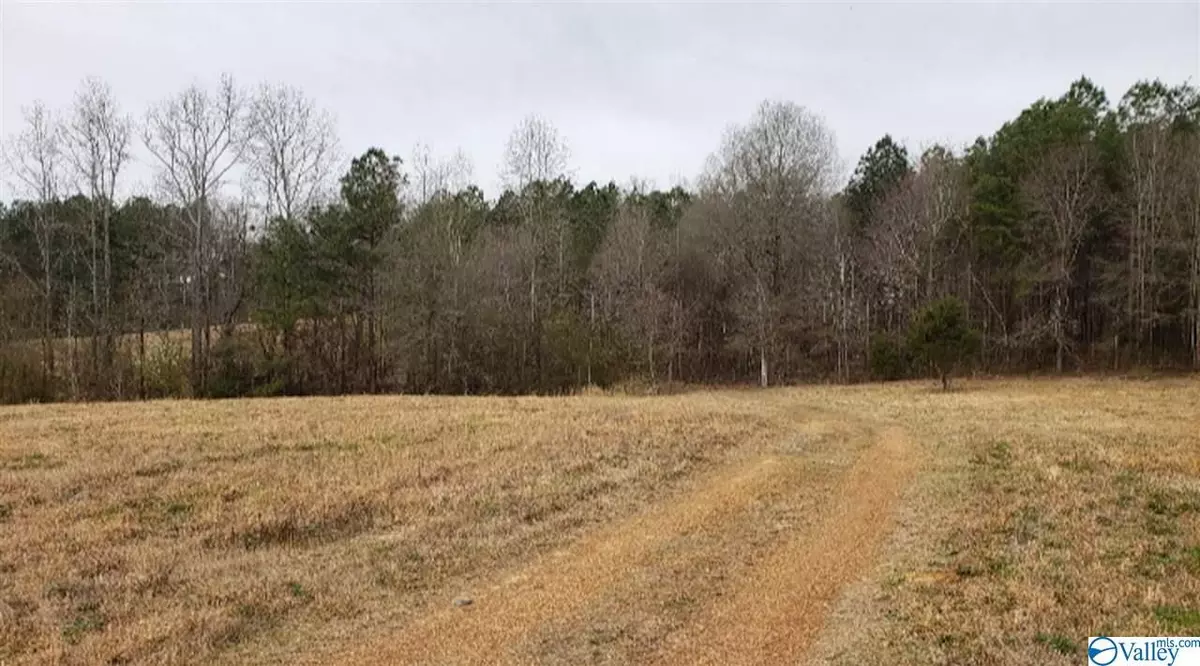 Hanceville, AL 35055,1793 County Road 558