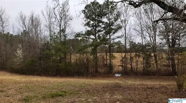 Hanceville, AL 35055,1793 County Road 558