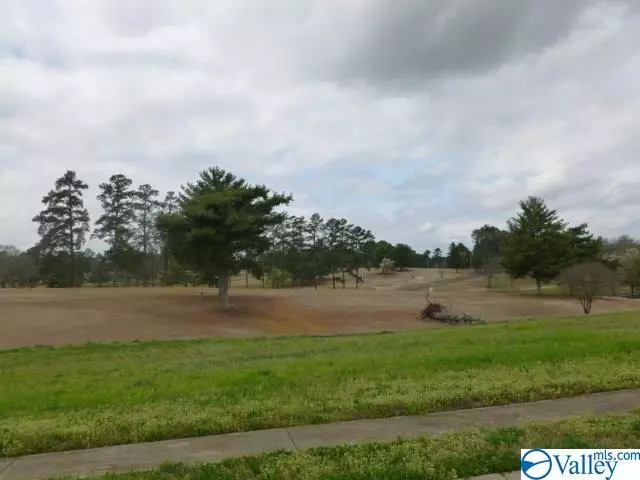 Lot 4 Muirfield Drive, Albertville, AL 35951