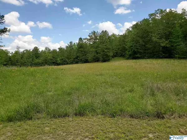 Ashville, AL 35953,715 Lovejoy Road