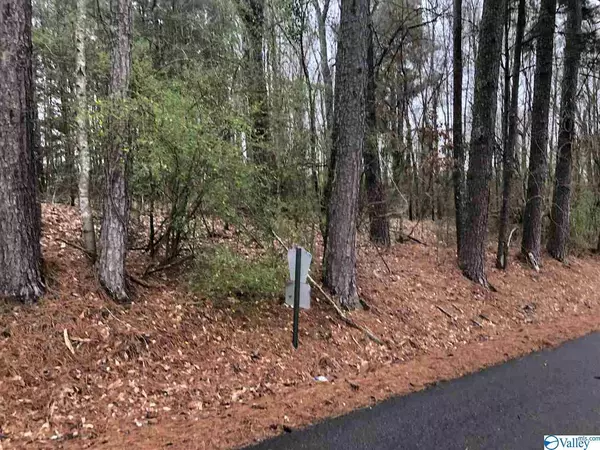 0 County Road 310, Crane Hill, AL 35053