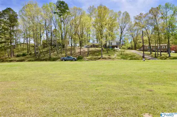 Southside, AL 35907,0 Spring Drive