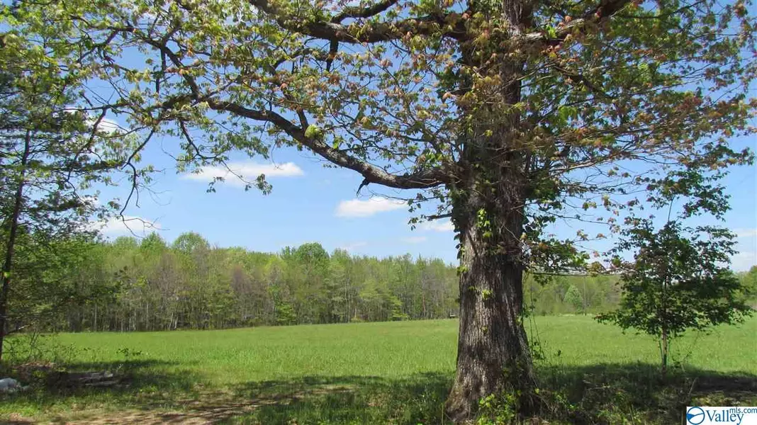 Moon Lake Road, Cloudland, GA 30731