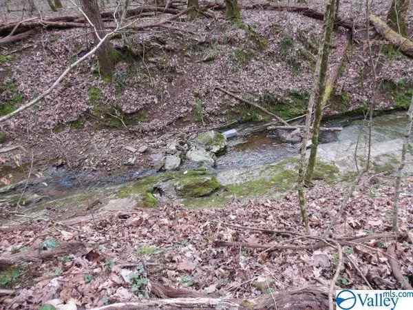 Minor Hill, TN 38473,0 Guy Davis Road