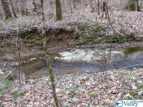 Minor Hill, TN 38473,0 Guy Davis Road