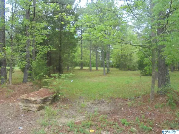 0 Pleasant Valley Road, Attalla, AL 35954