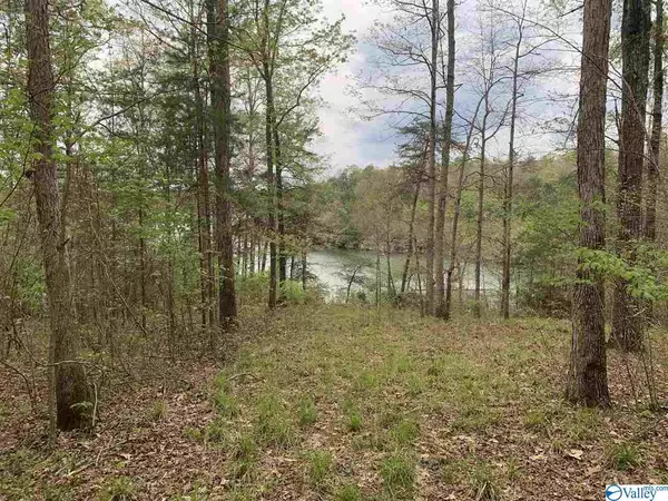 Arley, AL 35541,00 Sipsey Pines Road