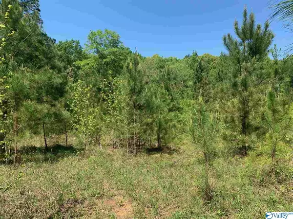 0 Mount Road, Blountsville, AL 35031