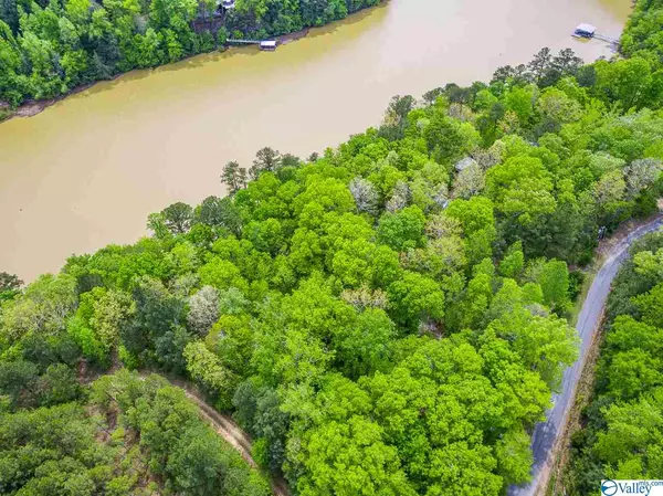 Arley, AL 35541,Lot 3 County Road 3782