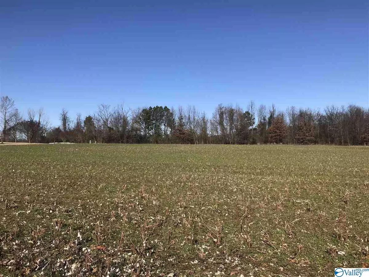 Athens, AL 35611,Lot 17 Hatchie Lane