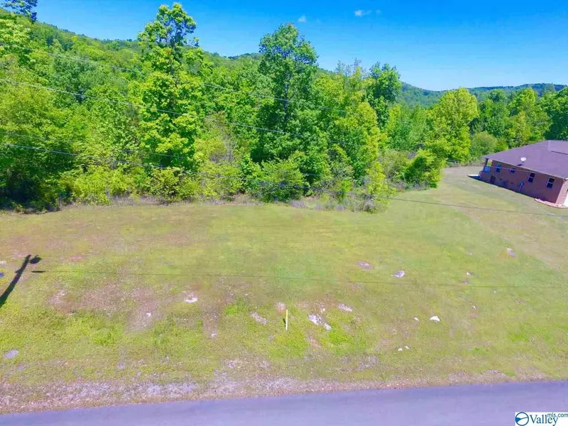 34 Tara Drive, Guntersville, AL 35976