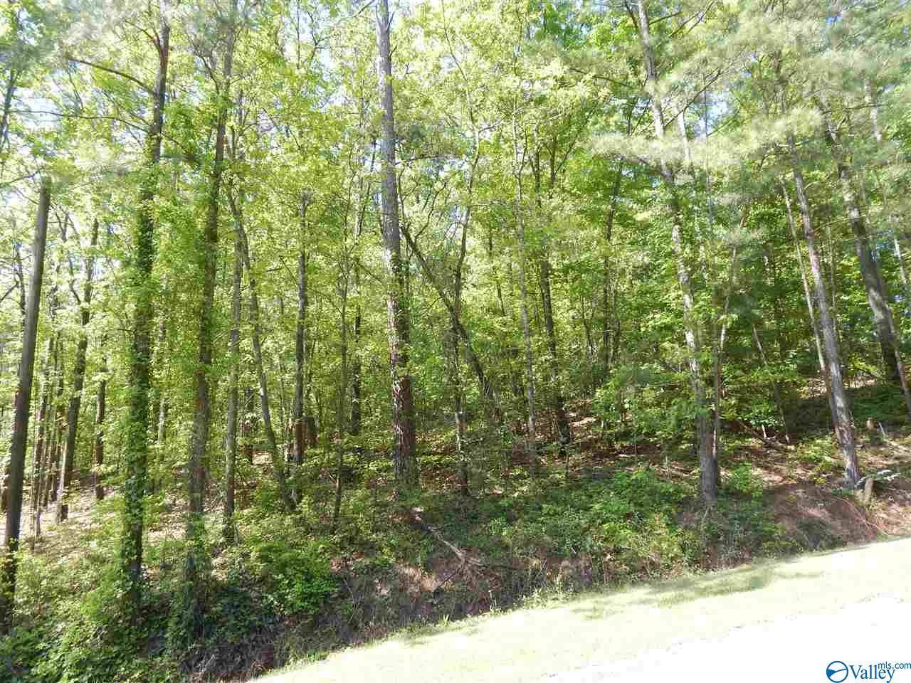 Centre, AL 35960,Lot 3 Jane Drive