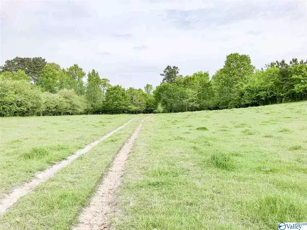 0 Suttles Road, Blountsville, AL 35031