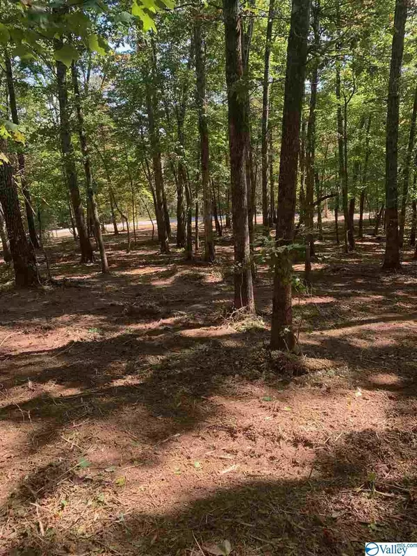 Fort Payne, AL 35967,Lot 27 Bear Creek Trail