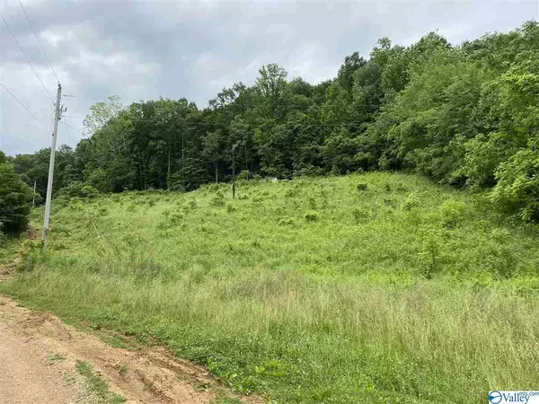 Dellrose, TN 38453,1790 Bee Spring Road