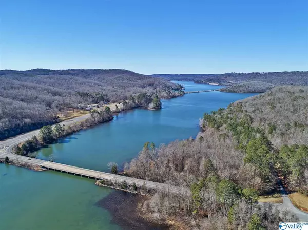 Grant, AL 35747,Lot 2 White Elephant Road