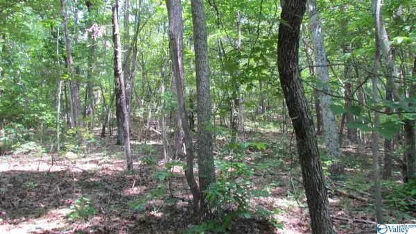 Mentone, AL 35984,0000 County Road 844