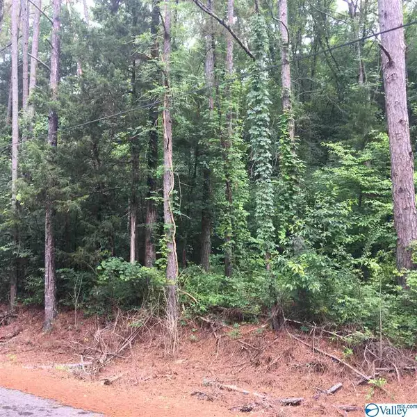 County Road 9, Estill Fork, AL 35745