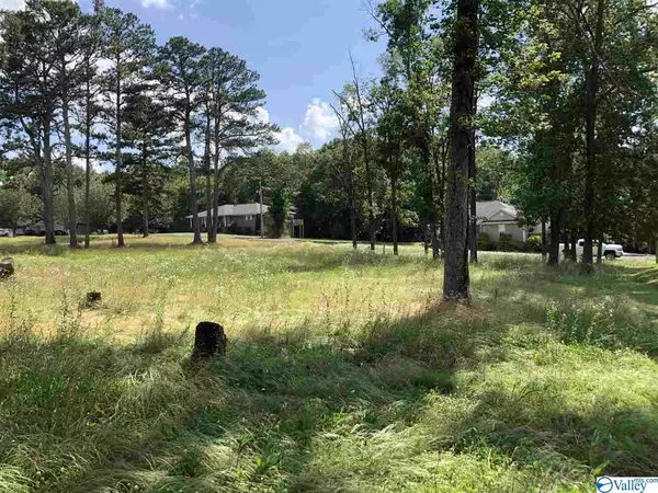 Grant, AL 35747,0 Echota Ridge Drive