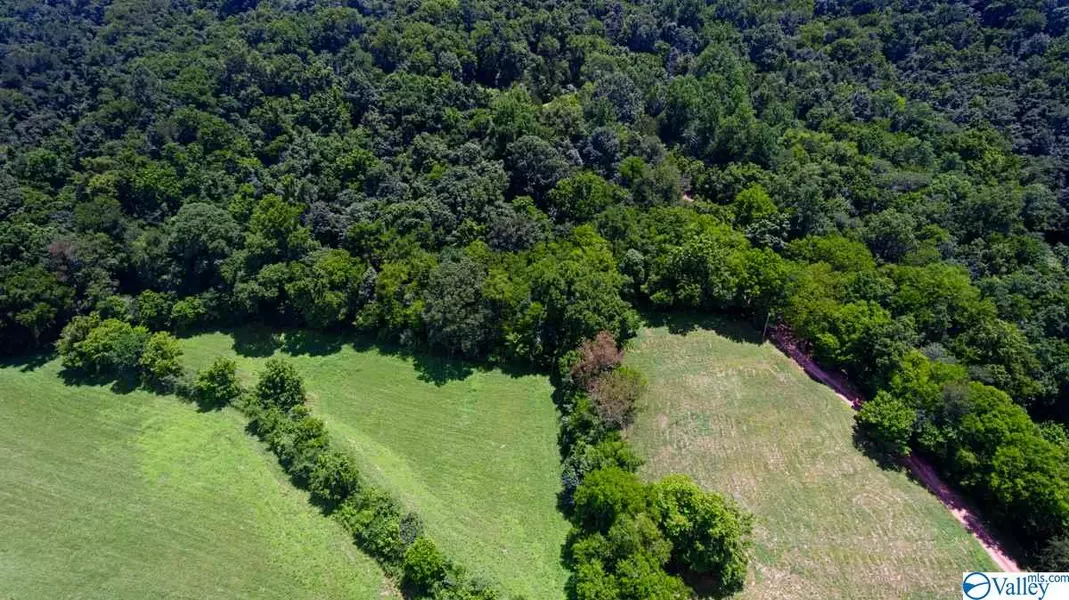 0 Hidden Hollow Road, Dellrose, TN 38453