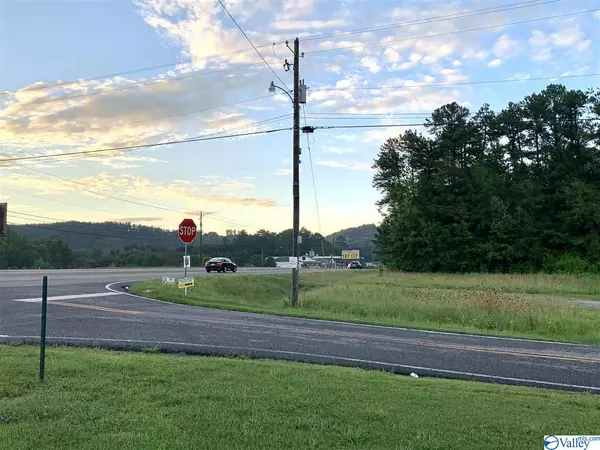 1473 Highway 77, Southside, AL 35907