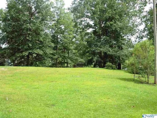 Arley, AL 35541,0 Indian Lane