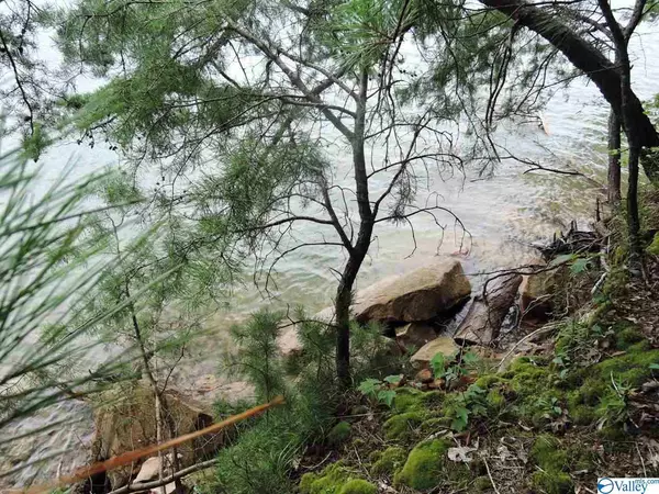 Arley, AL 35541,0 Brushy Lane