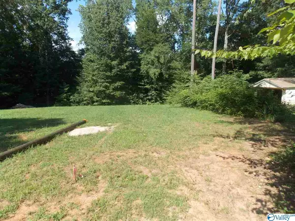 244 Poplar Springs Drive,  Rogersville,  AL 35652