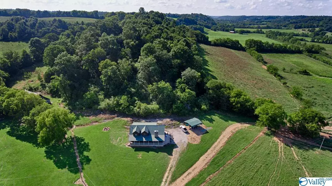 2007 Earl Townsend Road, Minor Hill, TN 38473