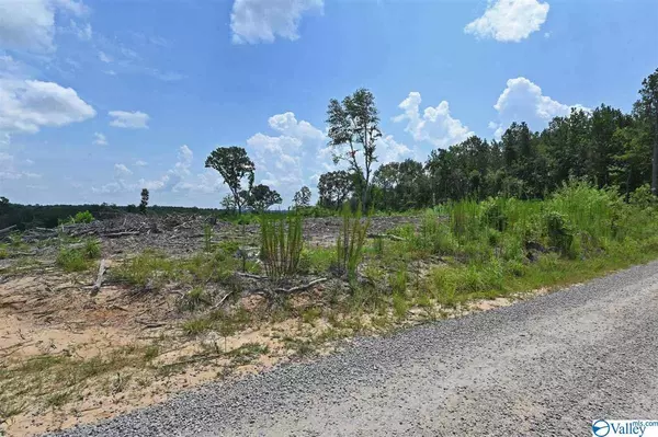 Crane Hill, AL 35053,0 County Road 359