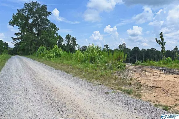 Crane Hill, AL 35053,0 County Road 359