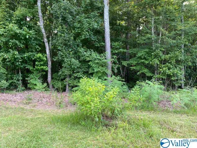 Rainbow City, AL 35906,Lot 16 Sweetwater Lane