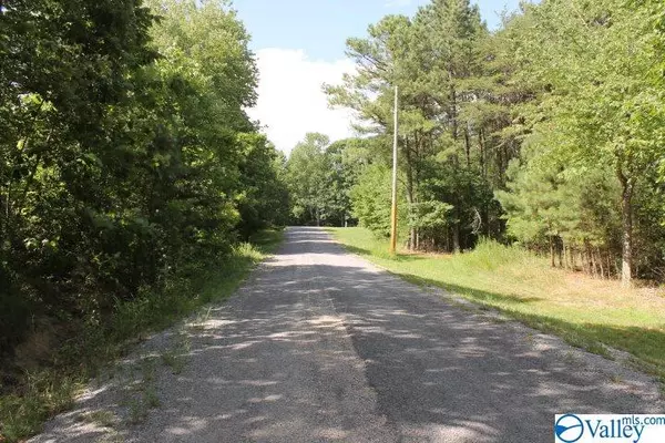 Mentone, AL 35984,Lot 2 Road 922