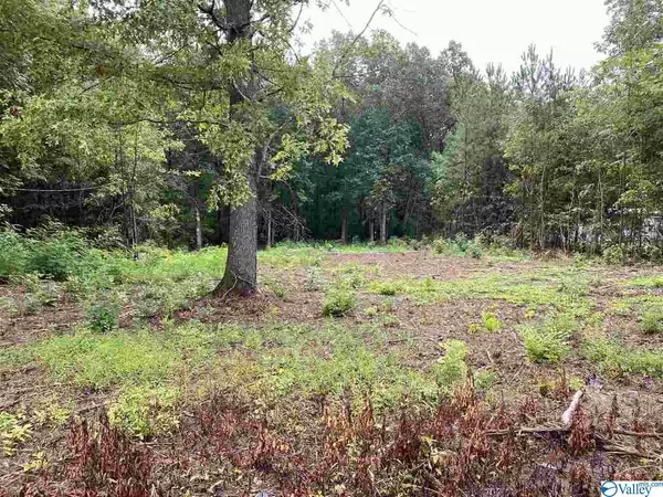 Lot 115 Hidden Cove Road, Cedar Bluff, AL 35959