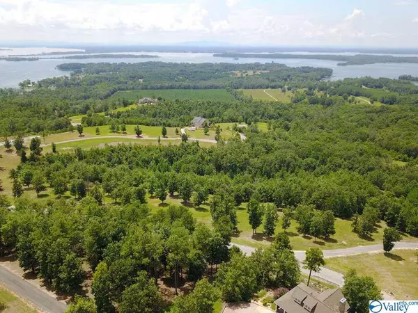 Cedar Bluff, AL 35959,Lot 234 County Road 767 ##234